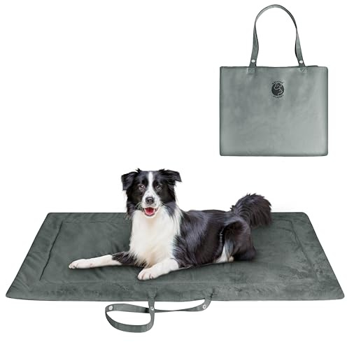 Kritter Planet wasserdichte Katze Hundematte, Faltbare Waschbare Haustier Outdoor Hundedecke für Reisen Camping Outdoor, Faltbare Haustiermatte mit Griffen, Kleine Mittlere Hundebettdecke 127 x 70CM