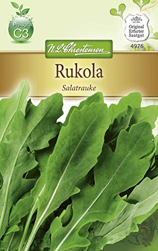 N.L. Chrestensen 4976 Rukola Salatrauke (Rukolasamen)