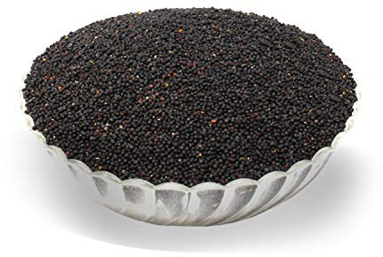 LanDixx Rapssamen 5 Kg, Raps ideal für Wärmekissen oder Handtherapie, Therapieraps