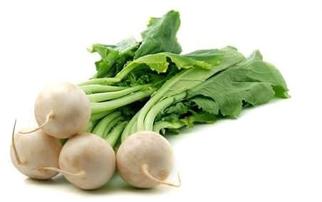Fresh 70Pcs White Turnip Vegetable Seeds