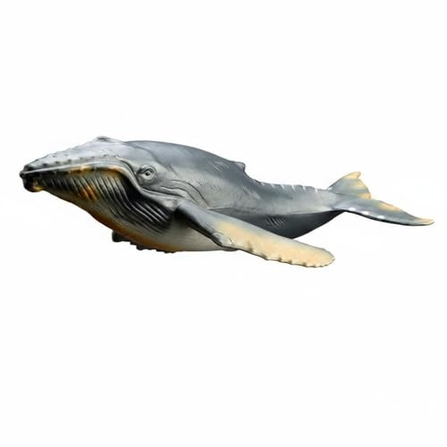 Amagogo Kinder Meerestier Figur Meeressäuger Modell Tierfigur aus PVC Detailreiche Bemalung für Anschauliches Lernen für Tierfreunde Geschenk Sammler Klassenzimmer, Buckelwal