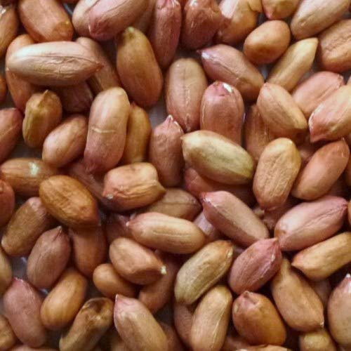 Eurital Erdnüsse mit Haut 2,5 kg – Taubenfutter und Vogelfutter | Ganze Erdnusskerne mit brauner Haut – ungesalzen und aflatoxinfrei