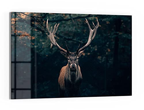 DEQORI Glas-Magnettafel | 60x40 cm groß | Motiv Elch im Teutoburger Wald | Memo-Board aus Glas | Magnetboard inkl. Magnete, Stift & Tuch für Küche & Büro | Tafel magnetisch & beschreibbar