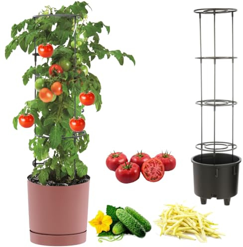 botle Pot à tomates - Pot pour la culture de plantes grimpantes - Pot à légumes - Diamètre : 30 cm - En plastique - Rose - Avec insert avec cadre haut