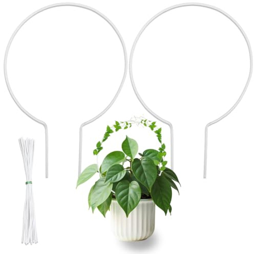 DICOSMETIC 2 Stück Acryl Pflanzenspalier Rundes Pflanzenspalier Transparent Kleine Zimmerpflanzen Spaliere Mit 10 STK. Bindfäden Für Wein Efeu Hoya Zimmerpflanzen Blumensupport