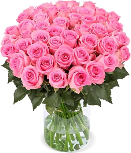 Blume Ideal Rosenstrauß - 20 Rosen - Pink - Ø 40–50 cm - Echte premium Blumen für Hochzeit & Deko - 7 Tage Frischegarantie - in verschiedenen Farben und Mengen