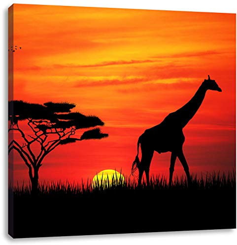Pixxprint Giraffe im Sonnenuntergang, Größe: 60x60, Leinwandbild Quadratisch, Wandbild, Kunstdruck, fertig bespannt