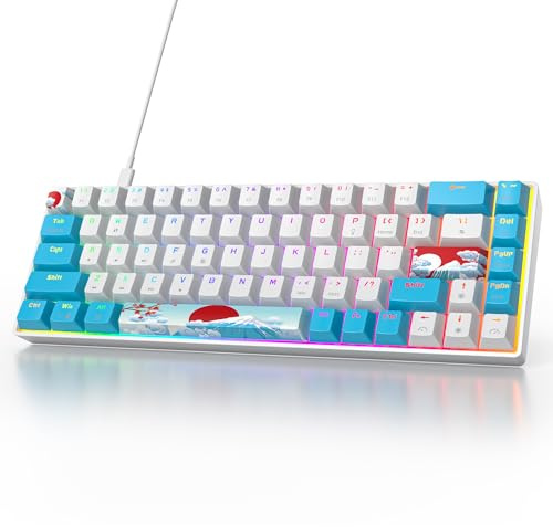 Owpkeenthy Tastiera da gioco meccanica portatile al 60%, ultra compatta RGB cablata, 65%, mini tastiera da ufficio retroilluminata con interruttore rosso per PC/PS5/Xbox (interruttore blu/68 rosso)