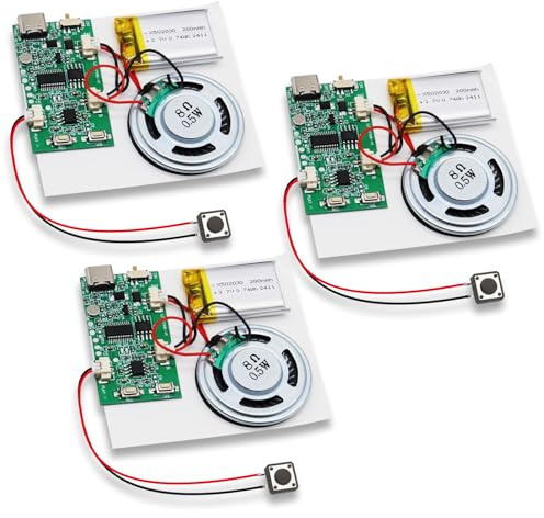 3er Pack USB Soundmodul, DIY Sound Modul bis 8 M Speicher, Musik Sprachaufzeichnungsmodul mit Lautsprecher Mp3, Aufladbarer Akku, MP3 Sound Chip Modul für DIY Karten, Spielwaren, Kreative Geschenke