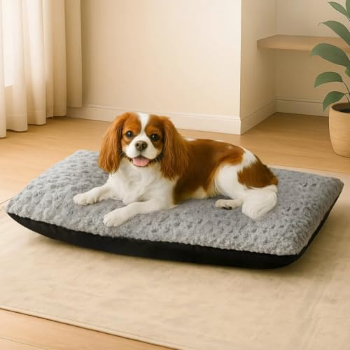 Skylos Medium Calming Dog Bed, 60 x 45 cm Plush Dog Cushion, Washable Anti Anxiety Dog Beds Crate Mattress with Anti-Slip Bottom, Pet Pillow Cushion