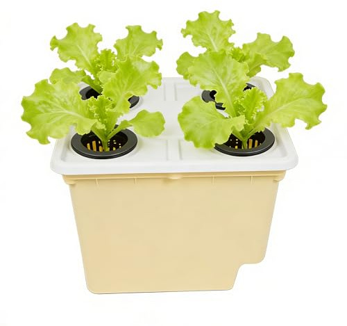 Vaso da coltivazione idroponico,Forniture per giardinaggio coltivato senza terreno | Idroponici di crescita - per uso interno, esterno, balcone, giardino e