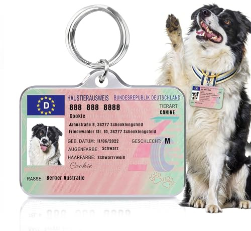 Targhette identificative personalizzate a forma di patente di guida per cani e gatti - Targhetta identificativa in metallo incisa e personalizzata, con nome e numero di telefono dell'animale domestico