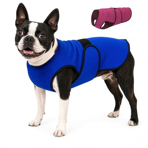 Dogzstuff Gilet de Refroidissement pour Chien léger avec Technologie de Microfibre évaporative et Anti-UV, Taille pour Chiens Petits, Moyens et Grands, (M, Bleu foncé) | Microfibre douce et respirante, refroidissement par évaporation, protection UV, ajustement flexible, confort léger et doux