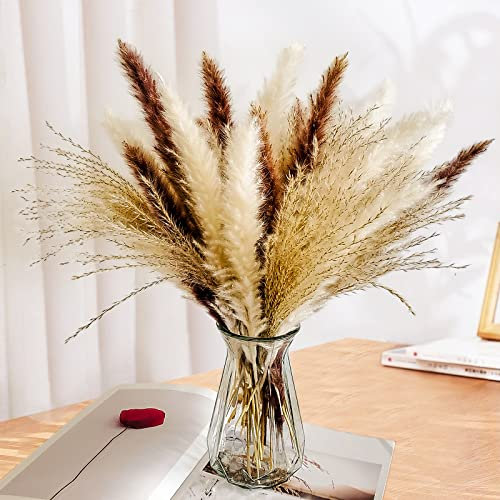 Total 60 Pcs - 15 Pcs White Pampas & 15 Pcs Brown Pampas & 30 Pcs Reed Grass/Natural Dried Pampas Grass for Flower Arrangements Home Decor