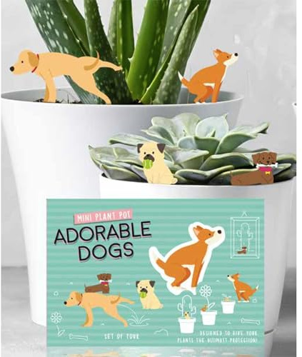 Lot de 4 mini pots de fleurs en forme de chiens - Décoration de jardin - Idée cadeau pour plantes d'intérieur
