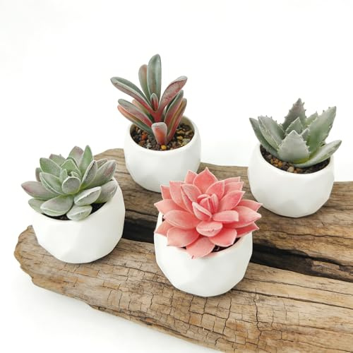 Domisella Artificial Succulent Plants in Ceramic Pot, Set of 4 Small Fake Indoor Potted Plants for Home Decor, Office, Bathroom, Kitchen, Window Sill & Table, Realistic Faux Succulents Greenery Decor