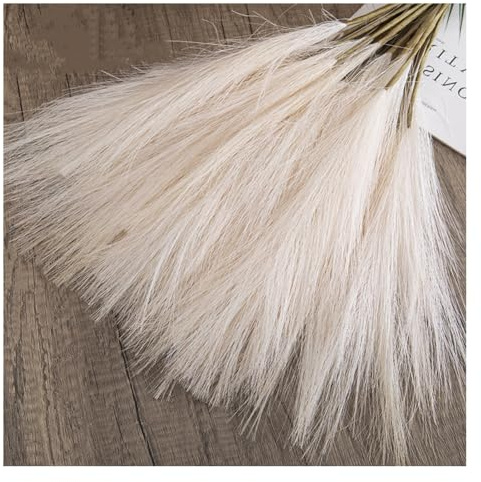 Rockreyoa Künstlich Pampasgras Flauschige Pampas Grass Pampasgras Deko Künstliche Pflanzen Trockenblumen für Boho Raum Dekor Wohnzimmer Vase Hochzeit Weihnachten Wohnkultur Beige 10 Stück