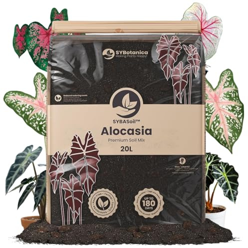 Sybotanica Alocasia jord 20 L, kokosjord torvfri för krukväxter
