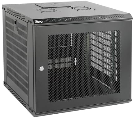 Tecmojo Gabinete de Red de 19 Pulgadas 9U 450 mm de Profundidad para Montaje en Pared, gabinete de Servidor de Red IT de 19 Pulgadas, Puerta y Paredes Laterales con Cerradura, Puerta Perforada, Color