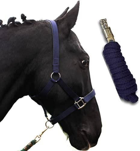 Halfter für Pferde mit Strick | Führstrick Pferd Halfter | Halfter Pony, Vollblut, Full, X-Full mit Strick (Blau, Warmblut)