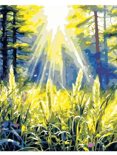 Wald-Sonnenaufgang-Landschaft Malen nach Zahlen Erwachsene,DIY Handgemalt Ölgemälde Leinwand Kits für Kinder Anfänger mit Pinseln und Acrylpigment Kunstbild Heimdekoration Geschenk 40x50cm,(Rahmenlos)