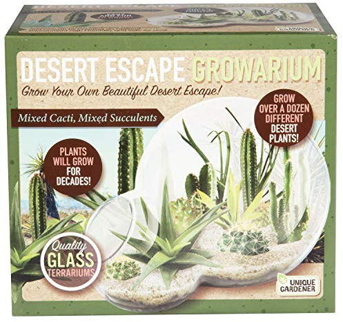 Cultiva tu propio escape del desierto en un kit de iniciación de terrario de vidrio de calidad con suministros completos, cactus y suculentas de interior fáciles de mantener, más de una docena de