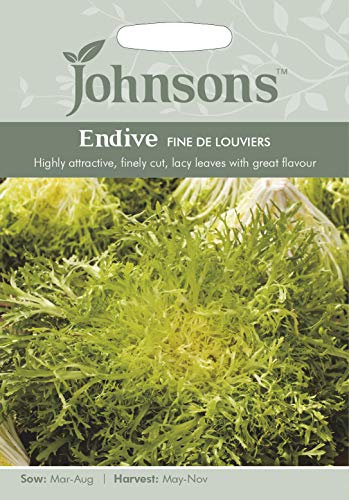 Johnsons Endive Fine de Louviers Vegetable Seeds, Green