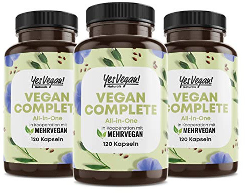 Vegan Multivitamin & Mineralien mit 14 Vitaminen u.a. B12, Jod, Eisen, Cholin (120 Kapseln hochdosiert) für Veganer & Vegetarier - Vegan Supplements - Multivitamin vegan