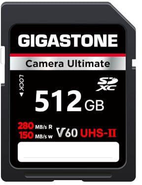 GIGASTONE UHS-II V60 512 GB Scheda SD, Camera Ultimate, Velocità fino a 280/150 MB/s, U3 SDXC 4K Ultra HD UHD Video per DSLR Canon, Nikon, Sony, Pentax, Kodak, Panasonic, con 1 mini custodia
