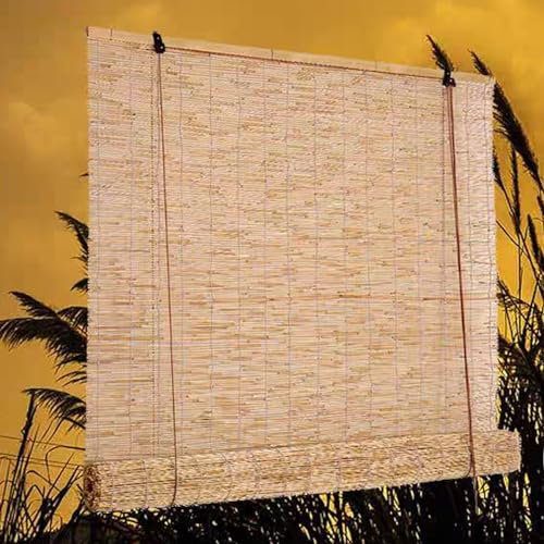 Natür Schilfrollos,Anpassbares Bambusrollo Sonnenschutz Verdunkelungsrollo mit Seitlichem Zug,Naturschilfvorhang Breite 50–160 cm Optional,für Außenterrasse,Fenster und Türen (W50xH100cm/20x39in)