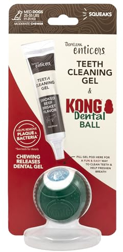 TropiClean Enticers Kong Dental Ball Kit for Medium Dogs | Teeth Cleaning Gel | Smoked Beef Brisket Flavor | 29.57 ml