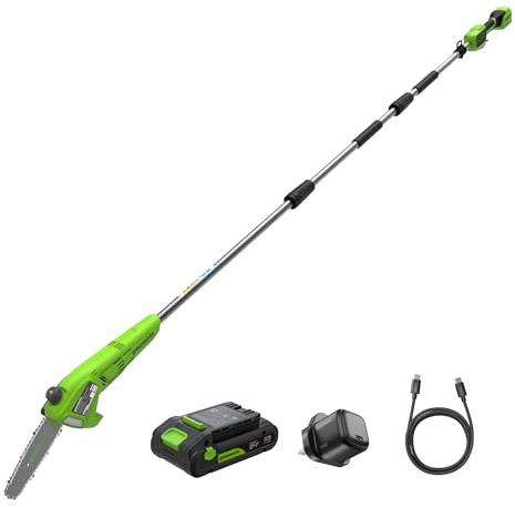 Greenworks 24 V 8 tums sladdlös sticksåg, 2,68 m lång skaftskärare, 20 cm elektrisk minimotorsåg med automatisk oljetillförsel, 6,7 m/s kedjeledning, 2 Ah batteri och 30 W USB C-laddare
