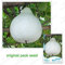 10 Semillas / paquete, Lagenaria siceraria, semillas de calabaza cazo, Balcón plantas Semillas de frutas Patio Calabaza ornamental maceta