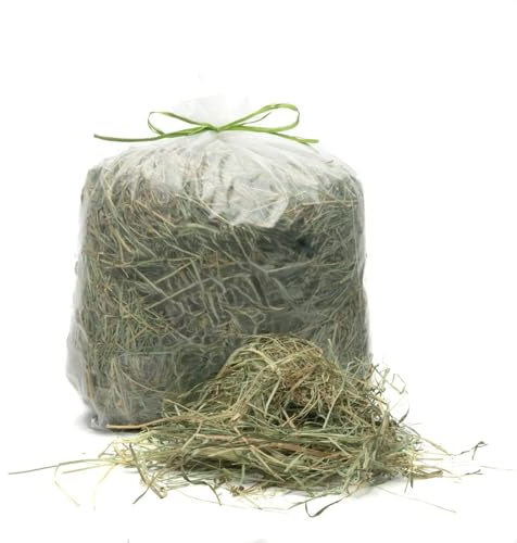 Foin naturel pour lapins, tortues, chevaux, ovins, chèvres, poulains | Foin italien de prairie de Montagne séché au soleil | Nourriture Tous les rongeurs, chevaux, ovins | Qualité Premium (1 Kg)