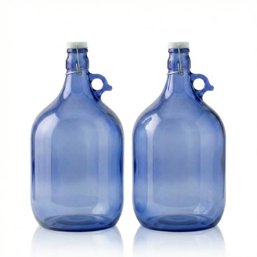lilawelt24 2 x 5L Blaue Glasflasche Gallone mit Bügelverschluss & Rundgriff - Hergestellt in der EU - UV-Schutz Glasballon für Wein, Saft & Likör