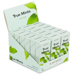 True Mints - 18er DISPLAY | FRISCHE MINZE | Pflanzliche und zuckerfreie Pastillen, 18 x 13g, 234 g