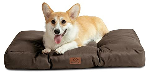 BEDSURE Hundekissen kleine Hunde waschbar - 76x50cm hundematratze M für kleine, mittelgroße Hunde Outdoor gepolstert Hundematte braun in 10cm Höhe