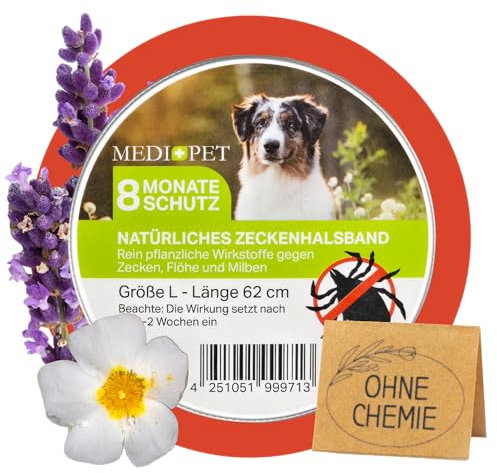 MEDIDOG Natürliches Zeckenhalsband – 8 Monate Schutz vor Zecken, Flöhe und Milben, für kleine Hunde & Katzen – mit Zistrose- & Lavendelöl – ohne Chemie