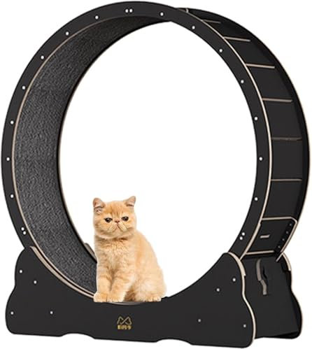 Katzenlaufrad für Hauskatzen, Katzenlaufrad, Katzenlaufband mit austauschbaren Griffpolstern, Verriegelungsmechanismus, leisen und geräuschlosen TPE-Rollen, Schwarz, M
