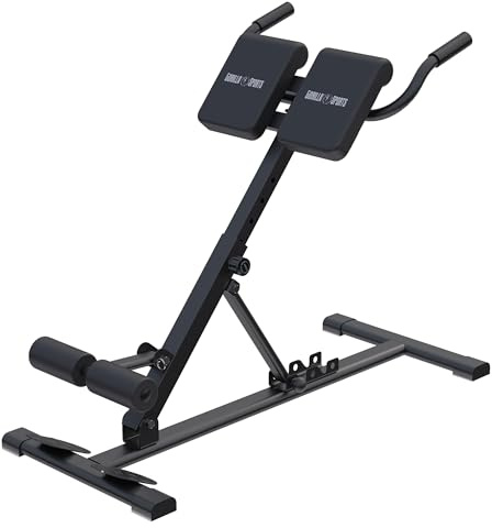 GORILLA SPORTS® Panca Romana - 107x60x86 cm, Pieghevole, Altezza Regolabile, Acciaio, Multifunzione: Dips, Sit Up, Lombari - Macchinari Palestra, Allenamento Schiena, Attrezzi Hyperextension
