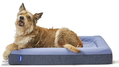 Casper Dog Bed, Plush Memory Foam, Large, Blue, 35.0 L x 45.0 W x 7.0 Th
