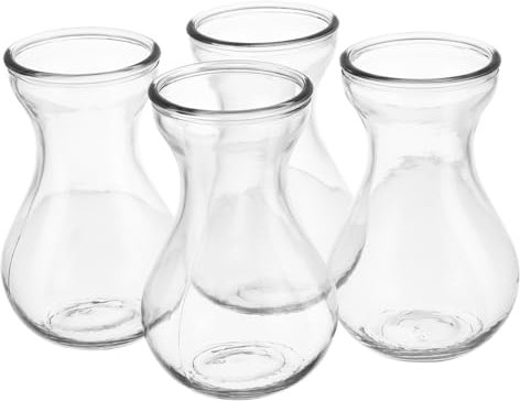 Cabilock 4pièces Vase à Fleurs Verre Transparent pour Jacinthes Décoration Intérieure De Bureau Ou Restaurant Pot De Fleurs Hydroponique