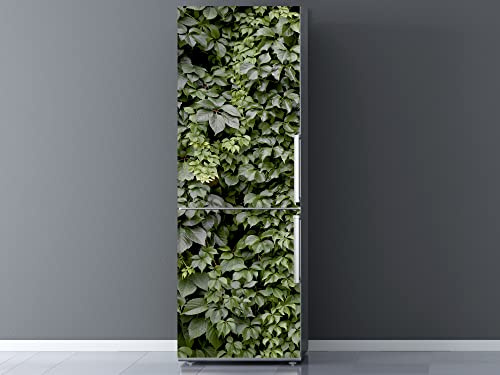 Autocollants 3D en vinyle pour réfrigérateur Feuilles de lierre vert | Plusieurs tailles 200x60cm | Adhésif résistant et facile d’application | Autocollant adhésif décoratif de design élégant