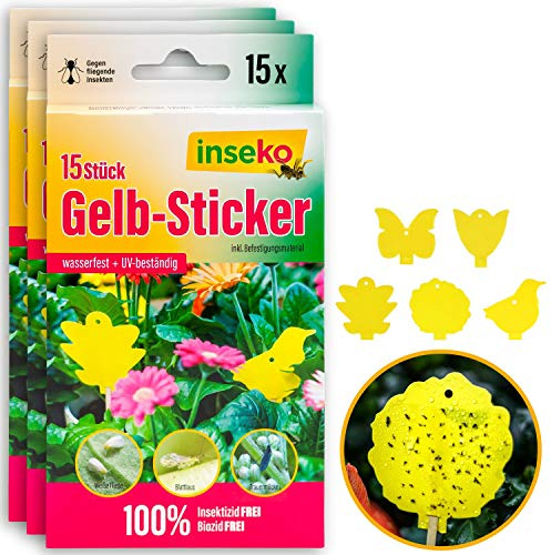 inseko 45x Profi Gelbsticker – Gelbfallen gegen Trauermücken & Weiße Fliegen – 100% giftfrei – für Zimmerpflanzen & Garten