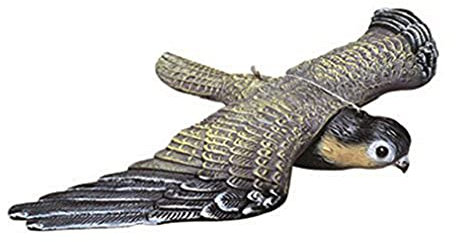 Répulsif pour jardin, décoy Bird Scarer oiseaux volants, répulsif efficace pour éloigner les oiseaux des terrasses, fenêtres et arbres fruitiers