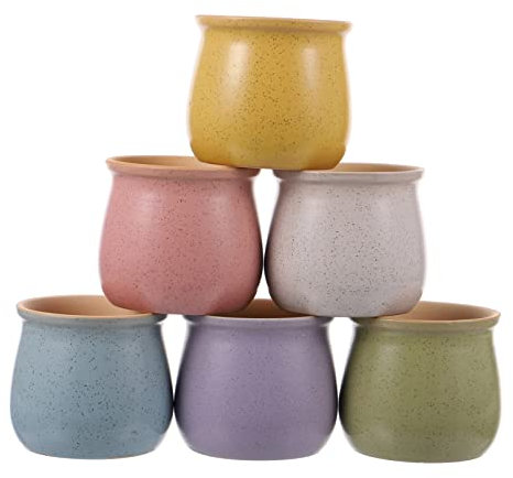 Cabilock 6piezas Macetas Cerámicas para Suculentas y Plantas Unidades Decoración Moderna para
