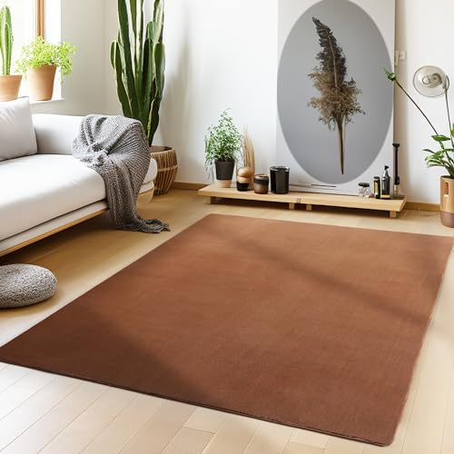 Teppium Waschbarer Teppich Wohnzimmer, Kurzflor rutschfest Flauschig Weich, Einfarbig Braun, Felloptik, Super Soft, Grösse 80 x 150 cm