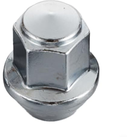 EXTRWORY Radmutter, Reifenschrauben, für Ford für Transit für Connect für S-Max Radmutter ACPA1012JXA, Sicherungsradmuttern