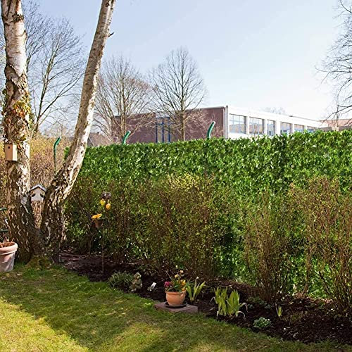 Malla De Ocultacion Jardin Ocultacion Jardin Valla de jardín Artificial Ivy Hedge tejido en rejilla de plástico Mat Valla de privacidad de jardín Ivy Hedge Vallas decorativas Pantalla de privacidad