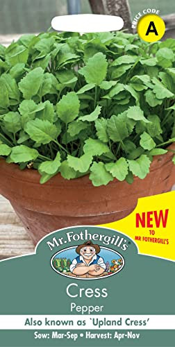 Mr Fothergill's -CRESS Pepper, Green